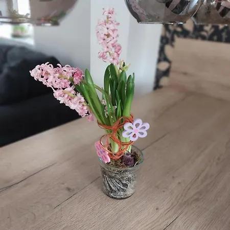 Сasa de vacaciones Haus Am Seidelberg Durrhennersdorf